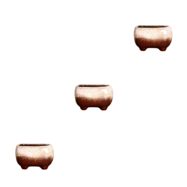 Moyic Una hermosa maceta de cerámica para cada habitación de tu hogar Blanco suculento Type1 NO1