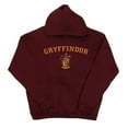 thumbnail image 1 of Harry Potter Chandail à Capuchon Garçon Gryffindor Crest, 1 of 4