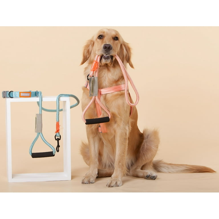 Touchdog Macaron 2 in 1 Durable Nylon Dog Harness and Leash
