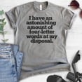 thumbnail image 2 of I Have An Astonishing Four-letter Words T-shirt, Unisex Women's Men's Shirt, Sarcastic Sassy Shirt, Dark Heather Gray, Medium, 2 of 6