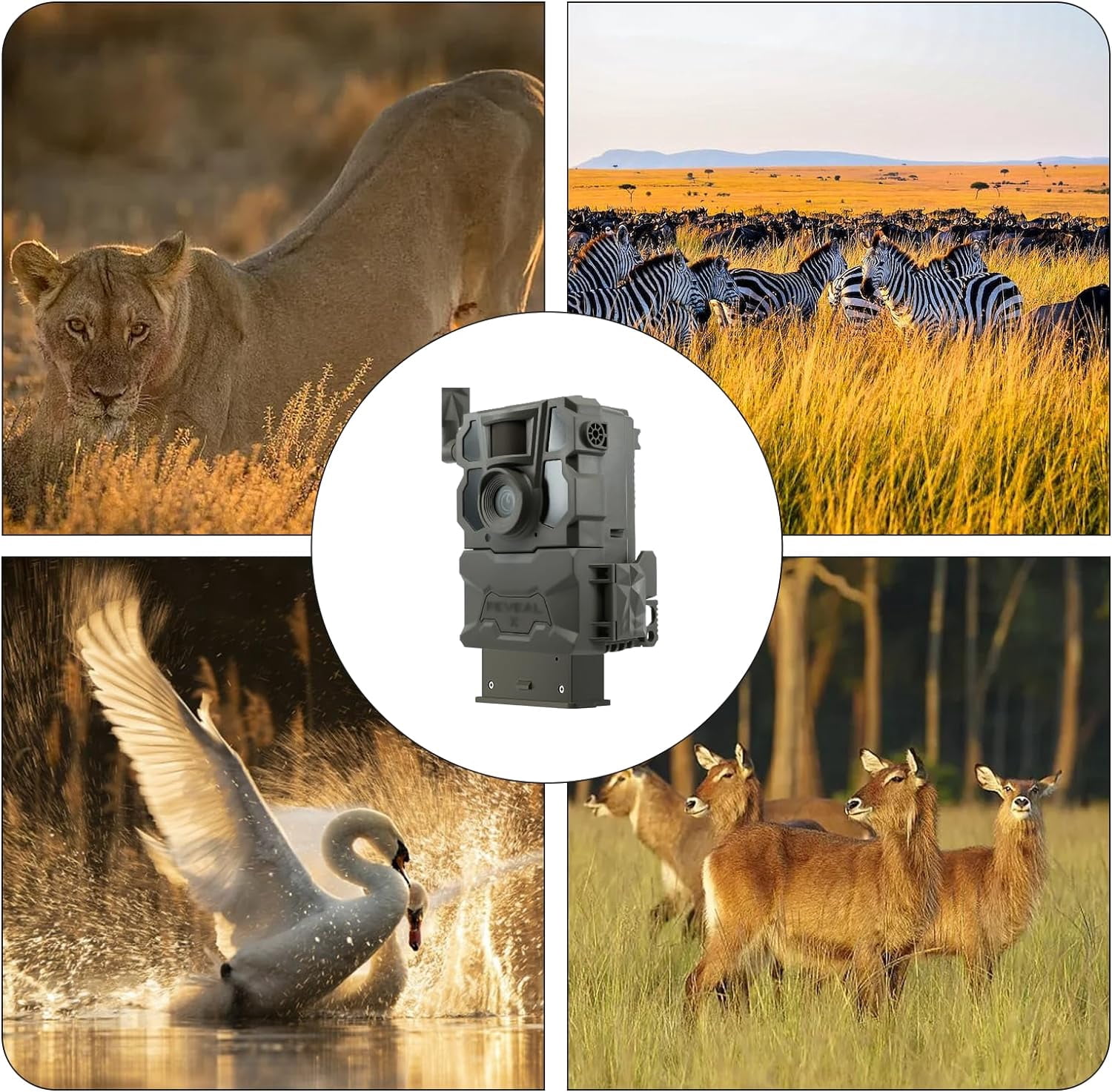 Upgraded Hunting Camera Rechargeable Battery Compatible with Hunting Camera X, X Gen 2.0, X Pro, XB, SK Cellular Trail Cameras TA-CT-XG2 TA-CT-SK TA-TC-BOV1 TA-CT-XP2