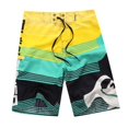 thumbnail image 1 of Pantalones cortos de playa para hombre, Bermudas masculinas de secado rápido, Bañador estampado de talla grande Fivean unisex, 1 of 2