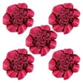 thumbnail image 2 of Fiudx Redecilla de Satén para El Pelo, Elegante Conjunto de Redecilla de Encaje, Accesorios Versátiles para El Pelo, Elegantes Pinzas para El Pelo, Ideal para Bailarinas, Enfermeras y Fiestas, Regalo, 2 of 5