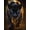 Black, variant on Mudket Golden Backlight Black Panther Forest Canvas Wall Art, Realistic Safari Wildlife Cool Posters Print for Man Cave Office Living Room Home Decor, Framed Ready to Hang - 12"L x 8"W