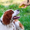 thumbnail image 5 of Positive Reinforcement Expert, Easy & Safe Clicker For Loud Sound Feedback, Various Occasions Training Tool, Consistent Training Method, Pet Training Clicker Set With Wrist Strap (Yellow), 5 of 5