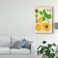 thumbnail image 3 of Trademark Fine Art 'Apricot Study II' Canvas Art by Melissa Wang, 3 of 4