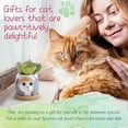 thumbnail image 4 of Keep On Planting Cat Gifts for Women, Cat Gifts for Cat Lovers - Cat Decor 6 Pack Cat Planter Pot - Cat Lover Gifts for Women - Cat Mom Gifts for Women, 4 of 13