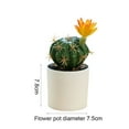 thumbnail image 2 of Plastic pots, artificial tropical cactus, bonsai, creative small ornaments, artificial flowers and green plants - type:style4;, 2 of 5