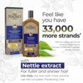 thumbnail image 3 of Champú espesante y acondicionador Tio Nacho Hair Care Bundle, 3 of 9