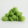 thumbnail image 1 of Musgo inmortal, planta de musgo en caja, pared de jardinería, musgo, escaparate, decoraciones interiores, micropaisaje, flor eterna, musgo., 1 of 6