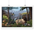 thumbnail image 2 of Rocky Mountain National Park, Wildlife Utopia (9x12 Wall Art Print, Home Decor), 2 of 3