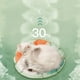 thumbnail image 5 of Estera de enfriamiento para mascotas, impermeable, resistente a desgarros, gruesa, suave, redonda, almohadilla de hielo para perros y gatos, cama para verano, 5 of 7