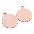 thumbnail image 1 of BEADCEST Pet ID Tags 2Pcs for Cats Engrave Address Simple Style Stainless Steel, 1 of 4