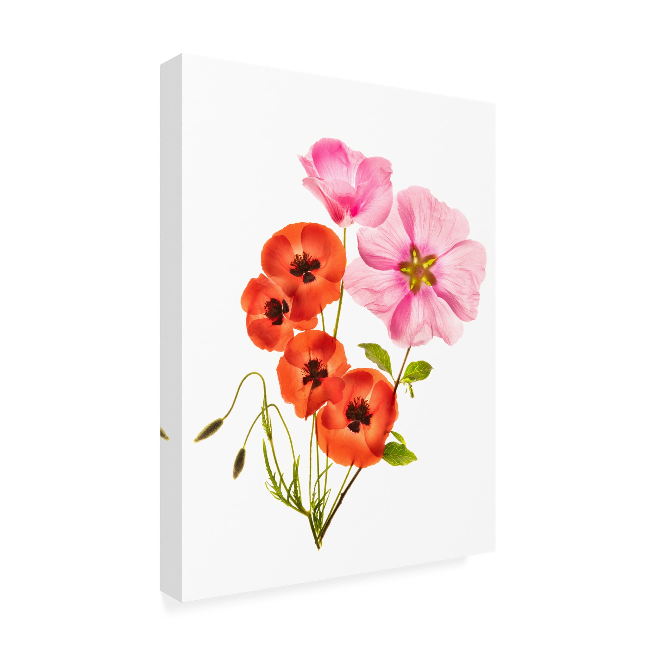 Canvas Wall Art - Azriel Yakubovitch 'Flower Composition Iii' Wall Art for Living Room, Bedroom, or Office Décor by Trademark Fine Art - 35 x 47 Inches