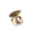 Khaki, variant on Mini 6.0 True Wireless Earbuds with Noise Cancellation, Invisible Design & HiFi Sound - Perfect Gift for Birthday, Easter, Him or Her