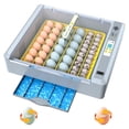 thumbnail image 2 of 36 Egg Incubator for Hatching Eggs with Auto Turn, Temp & Humidity Control,Large Capacity ,Stable Temperature, 2 of 7