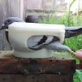thumbnail image 4 of Soporte Para Alimentación Soporte Fijo Para Comedero Comedero Para Pájaros Azul, 4 of 4