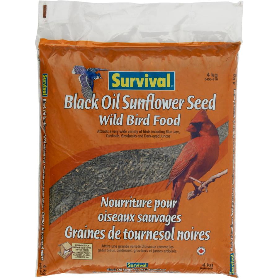 4kg Black Oil Sunflower Bird Seed Walmart Canada