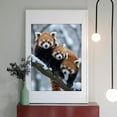 thumbnail image 2 of Diamond Art Kits for Adults - 5d Red Pandas Snowy Tree Branch Diamond Painting for Adults, Diamond Art for Adults Beginners, Diamond Painting Kits for Adults for Home Wall Decor, 2 of 7