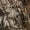 Mossy Oak New Break-Up, variant on Mossy Oak Elements Terra Gila Mens Stretch Cargo Hunting Pant