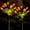 Pink Tulip, variant on Toopower Solar Garden Lights Outdoor, Solar Tulip Lights 2 Pack with 14 Tulip Flowers, IP65 Waterproof LED Stake Light for Pathway Patio Yard Landscape Decorative