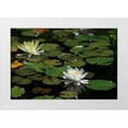 thumbnail image 3 of Dana Underdahl 4x24 White Modern Wood Framed Wall Art Titled - White Water Lily II, 3 of 5