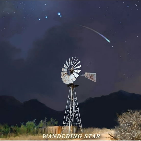 Flatland Cavalry - Wandering Star - Music & Performance - CD