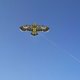 thumbnail image 2 of Cometa de águila de 1,, manija de juego de playa con cuerda de 30M, juguetes para , juguete DIY, juegos al aire libre familiares, cometa de Negro Sunnimix cometa voladora, 2 of 8