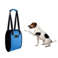 thumbnail image 2 of Arnés De Soporte De Cinturón Auxiliar Para Mascotas Para Mascotas Mayores Y Enfermas L Azul Sunnimix Cinturón auxiliar para mascotas, 2 of 8