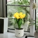 thumbnail image 1 of Lámpara de escritorio LED con flores artificiales, luz nocturna pequeña, ramo artificial de 6 cabezas para dormitorio, lámpara de noche, luz ambiental decorativa, iluminación de escritorio, luz noctur, 1 of 8