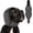 grey, variant on Noise Canceling Ear Wrap, Adjustable Dog Ear Muffs Noise Protection for Grooming Bathing Swimming, Quiet Pet Calming Cover for Fireworks Travel