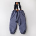 thumbnail image 4 of Hotiary 2-6Y Toddler Baby Boys Girls Winter Warm Thicken Bib Pants Windproof Ski Snow Pant With Pockets, 4 of 8