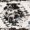 Ivory/Black, variant on Safavieh Manhattan Cenric Southwestern Area Rug, Ivory/Black, 5' x 8'