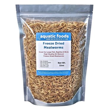 Freeze Dried Fresh Water Fish Food For Large Fish, Turtles & Reptiles - High Protein, Bulk Pack