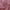 Dusty Pink Deep, variant on 60" Wide Rayon Spandex Jersey Knit Fabric by the Yard - 4-Way Stretch 220GSM - Anti-Wrinkle, Breathable - Apparel,  Accessories, Maternity, Decorations & Crafts- Dusty Pink Deep
