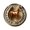A, variant on Hioecau Brooch Pin Golden Horseshoe Design Scratch Resistant Brooch Round Shape Lapel Badge Clothes Accessories
