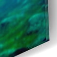 thumbnail image 3 of Epic Art 'Sea Dragon' by Mike Jones, Acrylic Glass Wall Art, 16"x12", 3 of 8