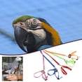 thumbnail image 6 of Barhoo Bird Leash for Parrots Adjustable Anti-Bite Multicolored Soft Rope Training Harness Exercise Balance Intelligence Development Play Rope for Cockatiel Budgie Lovebird Medium Large Birds, 6 of 8