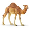 thumbnail image 2 of Schleich - 14832 Wild Life Dromadaire, 2 of 4