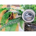 thumbnail image 2 of Colonia sólida Walton Wood Farm The Musician Vanilla Bean & Musk, 2 of 6