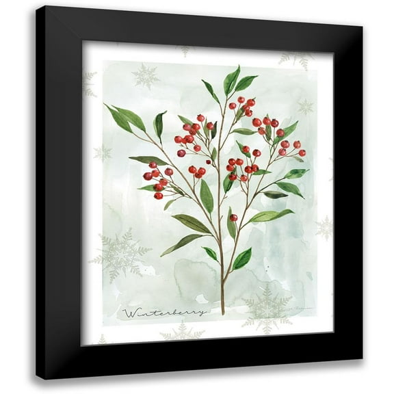Robinson, Carol 12x14 Black Modern Framed Museum Art Print Titled - Botanical Winterberry