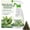 1pc, variant on Silk Plant Clean Spray No Wipe,Artificial Plant & Flowers Clean Dusting Sprays,for Artificial Tree and Silk Plants Fake Flower, for Home Decor Indoor, MultiClean Spray, Restores Shine