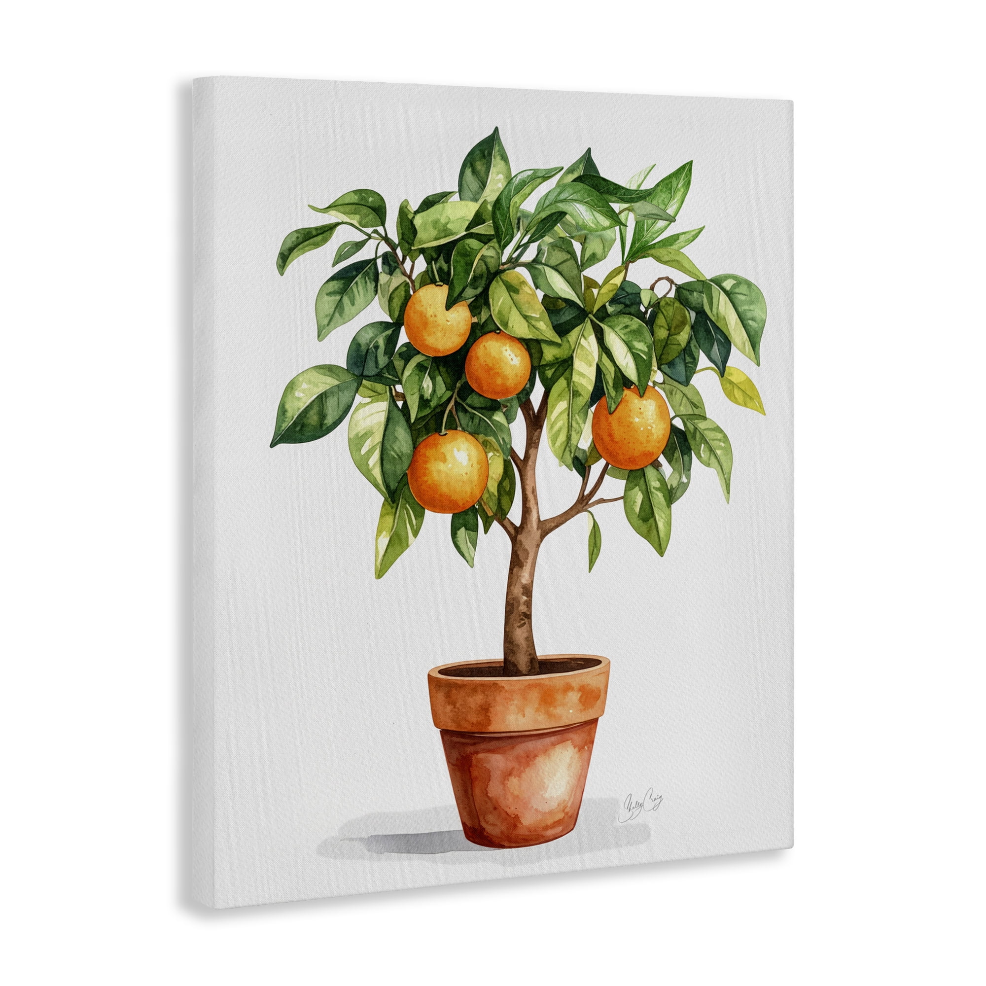 Stupell Industries Potted Orange Tree Canvas Wall Art, design by Shelly Craig