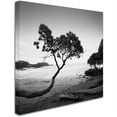thumbnail image 2 of Trademark Fine Art "Koki Beach" Canvas Art by Rob Cherry, 2 of 3