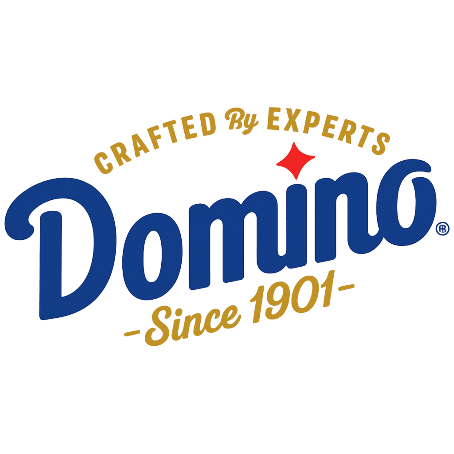 Domino Pure Cane Extra Fine Granulated Sugar, 50 lb (22.67 kg), Paper Bag