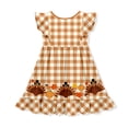 thumbnail image 3 of Millie Loves Lily Toddler Girls Orange Gingham Thanksgiving Parade Border Dress Size (2T-12), 3 of 3