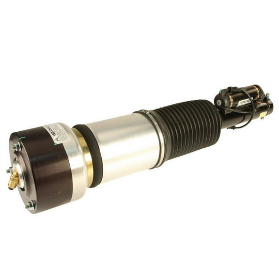Suspension Air Strut - Compatible with 2000 - 2006 Mercedes-Benz S500 Base 2001 2002 2003 2004 2005