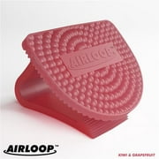 Airloop  Air Freshener - Kiwi & Grapefruit, Case of 10