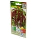 thumbnail image 2 of Pack De 3 Semilla Amaranto Hortaflor 1 Gr Verde, 2 of 3