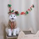 thumbnail image 4 of XS Disfraz de Navidad para perro y gato, vestido divertido para mascota, trajes para cachorros, ropa de Navidad, 4 of 5